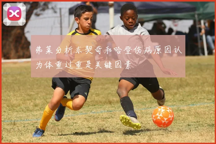 弗莱分析东契奇和哈登伤病原因认为体重过重是关键因素